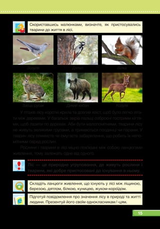 15
Скориставшись малюнками, визначте, як пристосувались
тварини до життя в лісі.
У птахів лісу короткі крила та довгий хвіст, щоб було легко літа-
ти між деревами. У багатьох звірів пальці озброєні гострими кігтя-
ми, щоб лазити по деревах. Аби бути малопомітними, тварини лісу
не живуть великими групами, а тримаються поодинці чи парами. У
тварин лісу плямисте чи смугасте забарвлення, що робить їх непо-
мітними серед рослин.
Рослини і тварини в лісі міцно пов’язані між собою ланцюгами
живлення, тому залежать одне від одного.
Ліс  — це природне угруповання, де живуть рослини і
тварини, які добре пристосовані до існування в ньому.
Складіть ланцюги живлення, що існують у лісі між ліщиною,
березою, дятлом, білкою, куницею, жуком-короїдом.
Підготуй повідомлення про значення лісу в природі та житті
людини. Презентуй його своїм однокласникам / -цям.
Заєць-русак
Зозуля
Дикий кабан
Дятел
Козуля
Білка
 