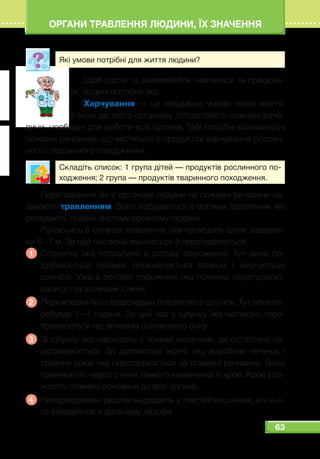 63
ОРГАНИ ТРАВЛЕННЯ ЛЮДИНИ, ЇХ ЗНАЧЕННЯ
Які умови потрібні для життя людини?
Щоб рости та розвиватися, навчатися та працюва-
ти, людині потрібна їжа.
Харчування  — це неодмінна умова твого життя.
З їжею до твого організму потрапляють поживні речо-
вини, необхідні для роботи всіх органів. Тобі потрібні різноманітні
поживні речовини, що містяться в продуктах харчування рослин-
ного і тваринного походження.
Складіть список: 1 група дітей — продуктів рослинного по-
ходження; 2 група — продуктів тваринного походження.
Перетворення їжі в організмі людини на поживні речовини на-
зивають травленням. Воно відбувається в органах травлення, які
складають травну систему організму людини.
Рухаючись в органах травлення, їжа проходить шлях завдовж-
ки 6 – 7 м. За цей час вона змінюється й перетворюється.
1 	Спочатку їжа потрапляє в ротову порожнину. Тут вона по-
дрібнюється зубами, перемішується язиком і змочується
слиною. Уже в ротовій порожнині їжа починає перетравлю-
ватися під впливом слини.
2 	 Пережована їжа стравоходом потрапляє в шлунок. Тут вона пе-
ребуває 1 – 4 години. За цей час у шлунку їжа частково пере-
травлюється під впливом шлункового соку.
3 	Зі шлунку їжа надходить у тонкий кишечник, де остаточно пе-
ретравлюється. За допомогою жовчі, яку виробляє печінка, і
травних соків їжа перетворюється на поживні речовини. Вони
проникають через стінки тонкого кишечника в кров. Кров роз-
носить поживні речовини до всіх органів.
4 	 Неперетравлені рештки надходять у товстий кишечник, а з ньо-
го виводяться з організму назовні.
 