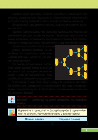 7
Бактерії, як усі організми, дихають, живляться, розмножуються,
ростуть, розвиваються і відмирають. Сприятливими умовами для
росту й розвитку бактерій є тепло, волога та поживні речовини.
Більшість бактерій дихають киснем, виділяючи в повітря вугле-
кислий газ.
Бактерії забезпечують свій організм здебільшого поживними
речовинами решток рослин чи тварин. Також вони селяться в тілі
живих організмів і споживають їхні поживні речовини. Бактерії по-
глинають поверхнею свого тіла розчинені у воді поживні речовини.
Розмножуються бактерії поділом навпіл.
Кожна бактерія ділиться на дві
особини. За сприятливих умов вони
швидко ростуть і через 20 – 30  хви-
лин знову діляться.
За такого розмноження потом-
ство однієї бактерії могло б за 5 діб
заповнити всі западини океанів на
Землі. Цього не відбувається, тому
що більшість бактерій у природі гине.
У водоймах, з яких люди беруть воду для вживання, міститься
багато бактерій, серед яких є хвороботворні. Цю воду на водопро-
відних станціях очищують й обробляють спеціальними речовинами,
які вбивають бактерії.
Бактерії — найменші на Землі організми, які поширені
всюди.
Порівняйте: 1 група дітей — бактерії та гриби; 2 група — бак-
терії та рослини. Результати запишіть у вигляді таблиці.
Спільні ознаки Відмінні ознаки
 