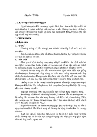 96
(Nguồn: WHO) (Nguồn: WHO)
2.2. Lý do bị rắn cắn thƣờng gặp
- Ngƣời nông dân khi lao động, ngƣời đánh, bắt cá ở ao hồ bị cắn khi lội
nƣớc (thƣờng ở chân), hoặc bắt cá trong lƣới bị cắn (thƣờng vào tay), vô tình bị
cắn khi đi bộ trên đƣờng, bị cắn khi đang ngủ ngoài cánh đồng, trên nền nhà (rắn
cạp nia rất hay bò vào nhà).
3. CHẨN ĐOÁN
3.1. Lâm sàng
a. Tại chỗ
- Thƣờng không có dấu hiệu gì, đôi khi chỉ nhìn thấy 2 vết móc nhỏ nhƣ
đầu kim.
- Tại chỗ vết cắn không phù nề, không hoại tử. Không thấy móc độc vì móc
độc của rắn cạp nia rất nhỏ.
b. Toàn thân
- Thời gian ủ bệnh: thƣờng trong vòng vài giờ sau khi bị cắn, bệnh nhân bắt
đầu bị liệt các cơ, theo thứ tự từ các cơ vùng đầu mặt cổ, cơ liên sƣờn, cơ hoành
và cuối cùng là các chi. Khi hồi phục thƣờng ngọn chi là nơi hồi phục trƣớc.
- Sụp mi: là một trong các dấu hiệu đầu tiên, bệnh nhân biểu hiện giống
nhƣ buồn ngủ, thƣờng cuối cùng sẽ sụp mi hoàn toàn, không mở đƣợc mắt. Tuy
nhiên, bệnh nhân cũng không nhắm kín đƣợc mắt nên dễ bị khô giác mạc, bến
chứng viêm, loét giác mạc nếu mắt không đƣợc vệ sinh và đóng kín hai bờ mi.
- Đồng tử dãn tối đa, tồn tại lâu suốt quá trình nằm viện cũng nhƣ đồng tử
không co khi chiếu đèn (mất phản xạ ánh sáng) là một trong dấu hiệu đặc trƣng
chỉ gặp ở rắn cạp nia cắn.
- Liệt vận nhãn: các cơ bị liệt, nhãn cầu hạn chế vận động hoặc bất động.
- Đau họng, nói khó và há miệng hạn chế, khó nuốt dẫn tới ứ đọng đờm rãi
là những dấu hiệu của liệt hầu họng thƣờng xuất hiện chủ yếu ở những BN bị
rắn cạp nia cắn. Đây là dấu hiệu đƣợc các bác sỹ lâm sàng rất chú ý và là yếu tố
quyết định cho chỉ định đặt NKQ.
- Liệt cơ liên sƣờn, cơ hoành: thƣờng gặp, gây suy hô hấp. Suy hô hấp là
nguyên nhân chính dẫn đến tử vong và thƣơng tổn nặng lên cho BN do rắn cạp
nia cắn.
- Liệt chi: liệt đối xứng hai bên, ngọn chi là nơi liệt cuối cùng và trong
nhiều trƣờng hợp có thể còn vận động nhẹ giúp cho việc giao tiếp giữa bệnh
nhân và thày thuốc, ngƣời nhà.
 
