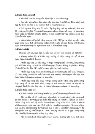 113
c. Chẩn đoán xác định
- Xác định con rắn mang đến bệnh viện là rắn chàm quạp.
- Dựa vào triệu chứng lâm sàng, cận lâm sàng (có rối loạn đông máu) phối
hợp địa điểm nơi xảy ra tai nạn với dịch tễ rắn chàm quạp.
- Thử nghiệm đông máu 20 phút: Lấy ống thuỷ tinh sạch cho vào 3ml máu
để yên trong 20 phút. Nếu máu không đông chứng tỏ có tình trạng rối loạn đông
máu. Điều này rất hữu ích cho các bác sĩ lâm sàng trong việc chẩn đoán và theo
dõi diễn biến bệnh.
- Xét nghiệm miễn dịch bằng phƣơng pháp ELISA xác định nọc rắn chàm
quạp trong máu, dịch vết thƣơng hoặc nƣớc tiểu cho kết quả dƣơng tính: thƣờng
đƣợc thực hiện trong các nghiên cứu hơn là thực tế lâm sàng.
d. Phân loại thể
Phân độ lâm sàng dựa trên các dấu hiệu tại chỗ, toàn thân và xét nghiệm:
- Không nhiễm độc: Có dấu răng, không có triệu chứng tại chỗ và toàn
thân. Xét nghiệm bình thƣờng
- Nhiễm độc nhẹ: Có dấu răng, có triệu chứng tại chỗ (đau nhẹ, sƣng không
quá 01 khớp, vòng chi nơi lớn nhất không quá 2cm và không hoại tử) và không
có dấu hiệu toàn thân. Xét nghiệm trong giới hạn bình thƣờng.
- Nhiễm độc trung bình: có dấu răng, có triệu chứng tại chỗ (đau, sƣng quá
02 khớp, vòng chi nơi lớn nhất 2-4cm và hoại tử nhỏ) và không có dấu hiệu toàn
thân. Xét nghiệm đông máu có rối loạn nhẹ.
- Nhiễm độc nặng: dấu răng, có triệu chứng tại chỗ (đau, sƣng quá 02 khớp
hoặc sƣng nề lan đến thân mình, vòng chi nơi lớn nhất >4cm và hoại tử lan
rộng) và dấu hiệu toàn thân rầm rộ. Xét nghiệm đông máu có rối loạn nặng.
e. Chẩn đoán phân biệt
Các loài rắn độc khác trong họ rắn lục gây rối loạn động cầm máu nhƣ:
- Rắn lục đầu vồ (Cryptelytrops albolabris, green pit viper): rắn màu xanh
có đuôi màu đỏ, thƣờng gặp cả miền Bắc, Trung và Nam bộ. Vết cắn tại chỗ có
thể có bóng nƣớc nhỏ, dịch màu đen (máu) và bóng nƣớc ở chi bị cắn ít hơn so
với bóng nƣớc xuất hiện trên bệnh nhân bị rắn chàm quạp cắn. Các triệu chứng
lâm sàng và cận lâm sàng thƣờng xuất hiện ít hơn so với Rắn Chàm quạp, ví dụ:
Đông máu toàn bộ có rối loạn: PT, aPTT thƣờng kéo dài ít khi gặp không đông;
tiểu cầu chỉ giảm trong các trƣờng hợp nặng.
- Rắn lục mũi hếch (Deinagkistrodon acutus) thƣờng gặp ở các tỉnh miền
 