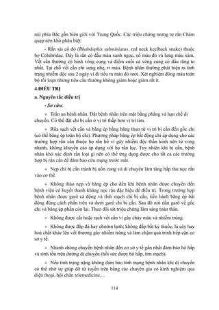 114
núi phía Bắc gần biên giới với Trung Quốc. Các triệu chứng tƣơng tự rắn Chàm
quạp nên khó phân biệt.
- Rắn sải cổ đỏ (Rhabdophis subminiatus, red neck keelback snake) thuộc
họ Colubridae. Đây là rắn có đầu màu xanh ngọc, cổ màu đỏ và lƣng màu xám.
Vết cắn thƣờng có hình vòng cung và điểm cuối cả vòng cung có dấu răng to
nhất. Tại chỗ vết cắn chỉ sƣng nhẹ, rỉ máu. Bệnh nhân thƣờng phát hiện ra tình
trạng nhiễm độc sau 2 ngày vì đi tiểu ra máu đỏ tƣơi. Xét nghiệm đông máu toàn
bộ rối loạn nhƣng tiểu cầu thƣờng không giảm hoặc giảm rất ít.
4.ĐIỀU TRỊ
a. Nguyên tắc điều trị
- Sơ cứu:
Trấn an bệnh nhân. Đặt bệnh nhân trên mặt bằng phẳng và hạn chế di
chuyển. Có thể đặt chi bị cắn ở vị trí thấp hơn vị trí tim.
Rữa sạch vết cắn và băng ép bằng băng thun từ vị trí bị cắn đến gốc chi
(có thể băng ép toàn bộ chi). Phƣơng pháp băng ép bất động chỉ áp dụng cho các
trƣờng hợp rắn cắn thuộc họ rắn hổ vì gây nhiễm độc thần kinh nên tử vong
nhanh, không khuyến cáo áp dụng với họ rắn lục. Tuy nhiên khi bị cắn, bệnh
nhân khó xác định rắn loại gì nên có thể ứng dụng đƣợc cho tất cả các trƣờng
hợp bị rắn cắn để đảm bảo cứu mạng trƣớc mắt.
Nẹp chi bị cắn tránh bị uốn cong và di chuyển làm tăng hấp thu nọc rắn
vào cơ thể.
Không tháo nẹp và băng ép cho đến khi bệnh nhân đƣợc chuyển đến
bệnh viện có huyết thanh kháng nọc rắn đặc hiệu để điều trị. Trong trƣờng hợp
bệnh nhân đƣợc garô cả động và tĩnh mạch chi bị cắn, tiến hành băng ép bất
động đúng cách phần trên và dƣới garô chi bị cắn. Sau đó nới dần garô về gốc
chi và băng ép phần còn lại. Theo dõi sát triệu chứng lâm sàng toàn thân.
Không đƣợc cắt hoặc rạch vết cắn vì gây chảy máu và nhiễm trùng.
Không đƣợc đắp đá hay chƣờm lạnh; không đắp bất kỳ thuốc, lá cây hay
hoá chất khác lên vết thƣơng gây nhiễm trùng và làm chậm quá trình tiếp cận cơ
sở y tế.
Nhanh chóng chuyển bệnh nhân đến cơ sở y tế gần nhất đảm bảo hô hấp
và sinh tồn trên đƣờng di chuyển (hồi sức đƣợc hô hấp, tim mạch).
Nếu tình trạng nặng không đảm bảo tính mạng bệnh nhân khi di chuyển
có thể nhờ sự giúp đỡ từ tuyến trên bằng các chuyên gia có kinh nghiệm qua
điện thoại, hội chẩn telemedicine,...
 