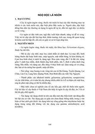149
NGỘ ĐỘC LÁ NGÓN
1. ĐẠI CƢƠNG
Cây lá ngón (ngón vàng, thuốc rút ruột) là loại cây độc thƣờng mọc tự
nhiên ở các tỉnh miền núi, đặc biệt phía Bắc nƣớc ta. Ngƣời dân, đặc biệt
đồng bào dân tộc thƣờng sử dụng lá ngón để tự tử, dẫn tới ngộ độc và nhiều
ca tử vong.
Lá ngón có độc tính cao, ngộ độc xuất hiện nhanh, nặng và dễ tử vong.
Việc xử trí cấp cứu đòi hỏi kịp thời, khẩn trƣơng, tích cực, trong đó quan trọng
là kiểm soát hô hấp tốt, cắt cơn co giật và xử trí loạn nhịp tim.
2. NGUYÊN NHÂN
Lá ngón (ngón vàng, thuốc rút ruột), tên khoa học: Gelsemium elegans,
thuộc họ mã tiền.
Mô tả cây: cây nhỡ, mọc leo, cành nhẵn có rãnh dọc. Lá mọc đối, hình
trứng thuôn dài hoặc hình mác, mép nguyên, mặt nhẵn bóng, lá kèm không rõ.
Cụm hoa hình chuỳ ở nách lá, dạng ngù. Hoa màu vàng, đài 5 lá đài rời, tràng
gồm 5 cánh hoa nhẵn, dính thành ống hình phễu, nhị 5, đỉnh ở phía dƣới ống
tràng, bầu nhẵn, vòi dạng sợi, đầu nhuỵ 4 thuỳ hình sợi. Quả nang có vỏ cứng,
dai, hạt có rìa mỏng bao quanh, mép cắt khía.
Nơi sống: mọc hoang ở các vùng núi cao từ Hà Giang, Tuyên Quang. Lai
Châu, Lào Cai, Lạng Sơn, Quảng Ninh, Hoà Bình đến các tỉnh Tây Nguyên.
Thành phần: các alkaloid indole: gelsemine, gelsemicine, sempervirine
và các chất khác, có ở toàn bộ cây nhƣng nhiều nhất là ở rễ và thậm chí mật hoa,
ong ăn phải mật cũng có thể bị nhiễm độc.
Độc tính: chƣa có nghiên cứu về các liều gây chết tối thiểu trên ngƣời.
Các tài liệu về cây thuốc ở Việt Nam cho thấy lá ngón là cây rất độc, ăn 3 lá có
thể đủ gây chết ngƣời.
Tác dụng: tác dụng chính là trên các đầu mút dây thần kinh vận động dẫn
tới liệt các cơ vân. Tác dụng gây co giật còn chƣa đƣợc thống nhất, trong y văn
hiện có hai cách giải thích: tác dụng trên tuỷ sống giống nhƣ strychnine hoặc tác
dụng trung ƣơng đối kháng với tác dụng của gamma aminobutyric acid
(GABA).
 