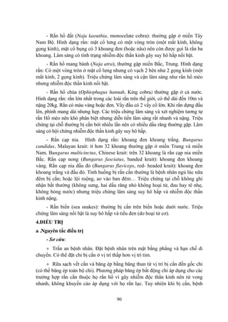 90
- Rắn hổ đất (Naja kaouthia, monocelate cobra): thƣờng gặp ở miền Tây
Nam Bộ. Hình dạng rắn: mặt cổ lƣng có một vòng tròn (một mắt kính, không
gọng kính), mặt cổ bụng có 3 khoang đen (hoặc nâu) nên còn đƣợc gọi là rắn ba
khoang. Lâm sàng có tình trạng nhiễm độc thần kinh gây suy hô hấp nổi bật.
- Rắn hổ mang bành (Naja atra), thƣờng gặp miền Bắc, Trung. Hình dạng
rắn: Có một vòng tròn ở mặt cổ lƣng nhƣng có vạch 2 bên nhƣ 2 gọng kính (một
mắt kính, 2 gọng kính). Triệu chứng lâm sàng và cận lâm sàng nhƣ rắn hổ mèo
nhƣng nhiễm độc thần kinh nổi bật.
- Rắn hổ chúa (Ophiophagus hannah, King cobra) thƣờng gặp ở cả nƣớc.
Hình dạng rắn: rắn lớn nhất trong các loài rắn trên thế giới, có thể dài đến 10m và
nặng 20kg. Rắn có màu vàng hoặc đen. Vẩy đầu có 2 vẩy cổ lớn. Khi rắn dựng đầu
lên, phình mang dài nhƣng hẹp. Các triệu chứng lâm sàng và xét nghiệm tƣơng tự
rắn Hổ mèo nên khó phân biệt nhƣng diễn tiến lâm sàng rất nhanh và nặng. Triệu
chứng tại chỗ thƣờng bị cắn bởi nhiều lần nên có nhiều dấu răng thƣờng gặp. Lâm
sàng có hội chứng nhiễm độc thần kinh gây suy hô hấp.
- Rắn cạp nia. Hình dạng rắn: khoang đen khoang trắng. Bungarus
candidus, Malayan krait: ít hơn 32 khoang thƣờng gặp ở miền Trung và miền
Nam. Bungarus multicinctus, Chinese krait: trên 32 khoang là rắn cạp nia miền
Bắc. Rắn cạp nong (Bungarus fasciatus, banded krait): khoang đen khoang
vàng. Rắn cạp nia đầu đỏ (Bungarus flaviceps, red- headed krait): khoang đen
khoang trắng và đầu đỏ. Tình huống bị rắn cắn thƣờng là bệnh nhân ngủ lúc nữa
đêm bị cắn; hoặc lội ruộng, ao vào ban đêm… Triệu chứng tại chỗ không ghi
nhận bất thƣờng (không sƣng, hai dấu răng nhỏ không hoại tử, đau hay tê nhẹ,
không bóng nƣớc) nhƣng triệu chứng lâm sàng suy hô hấp và nhiễm độc thần
kinh nặng.
- Rắn biển (sea snakes): thƣờng bị cắn trên biển hoặc dƣới nƣớc. Triệu
chứng lâm sàng nổi bật là suy hô hấp và tiểu đen (do hoại tử cơ).
4.ĐIỀU TRỊ
a .Nguyên tắc điều trị
- Sơ cứu:
Trấn an bệnh nhân. Đặt bệnh nhân trên mặt bằng phẳng và hạn chế di
chuyển. Có thể đặt chi bị cắn ở vị trí thấp hơn vị trí tim.
Rữa sạch vết cắn và băng ép bằng băng thun từ vị trí bị cắn đến gốc chi
(có thể băng ép toàn bộ chi). Phƣơng pháp băng ép bất động chỉ áp dụng cho các
trƣờng hợp rắn cắn thuộc họ rắn hổ vì gây nhiễm độc thần kinh nên tử vong
nhanh, không khuyến cáo áp dụng với họ rắn lục. Tuy nhiên khi bị cắn, bệnh
 