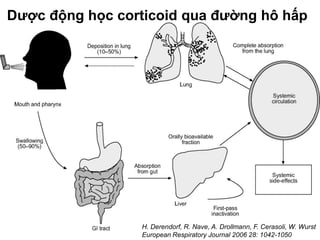 Dược động học corticoid qua đường hô hấp
H. Derendorf, R. Nave, A. Drollmann, F. Cerasoli, W. Wurst
European Respiratory Journal 2006 28: 1042-1050
 