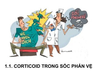 1.1. CORTICOID TRONG SỐC PHẢN VỆ
 