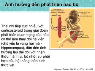 Ảnh hưởng đến phát triển não bộ
Korean J Pediatr. Mar 2014; 57(3): 101–109.
Thai nhi tiếp xúc nhiều với
corticosteroid trong giai đoạn
phát triển quan trọng của não
có thể làm thay đổi hệ viền
(chủ yếu là vùng hải mã -
hippocampus), dẫn đến ảnh
hưởng lâu dài đối với nhận
thức, hành vi, bộ nhớ, sự phối
hợp của hệ thống thần kinh
thực vật.
 