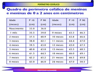 PERÍMETRO CEFÁLICO
PROFESSOR ALEXANDRE
 