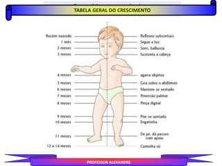 TABELA GERAL DO CRESCIMENTO
PROFESSOR ALEXANDRE
 