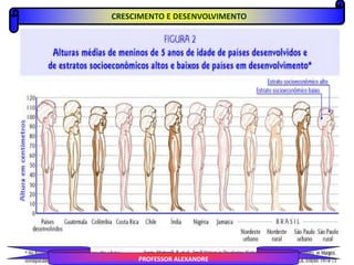 PROFESSOR ALEXANDRE
CRESCIMENTO E DESENVOLVIMENTO
 