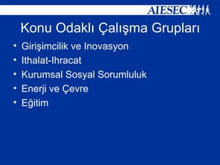 Konu Odaklı Çalışma Grupları Girişimcilik ve Inovasyon Ithalat-Ihracat Kurumsal Sosyal Sorumluluk Enerji ve Çevre Eğitim 