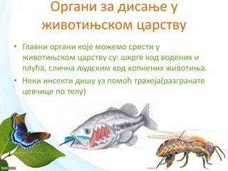 Disanje.pptx