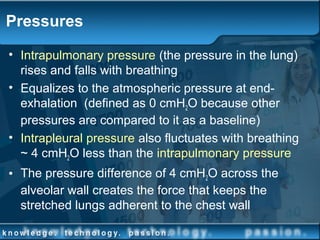 Pressures
• Intrapulmonary pressure (the pressure in the lung)
rises and falls with breathing
• Equalizes to the atmospheric pressure at end-
exhalation (defined as 0 cmH2O because other
pressures are compared to it as a baseline)
• Intrapleural pressure also fluctuates with breathing
~ 4 cmH2O less than the intrapulmonary pressure
• The pressure difference of 4 cmH2O across the
alveolar wall creates the force that keeps the
stretched lungs adherent to the chest wall
 