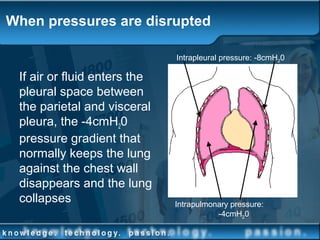 When pressures are disrupted
If air or fluid enters the
pleural space between
the parietal and visceral
pleura, the -4cmH20
pressure gradient that
normally keeps the lung
against the chest wall
disappears and the lung
collapses Intrapulmonary pressure:
-4cmH20
Intrapleural pressure: -8cmH20
 