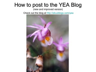 How to post to the YEA Blog (new and improved version)   Check out the blog at  http:// ebusblogs.com /yea 