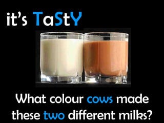 What colour  cows  made these  two  different milks? it’s  T a S t Y 