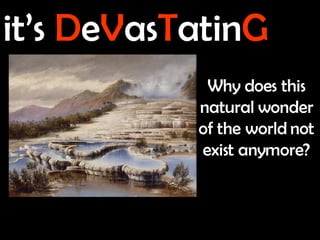 it’s   D e V as T atin G Why does this natural wonder of the world not exist anymore? 