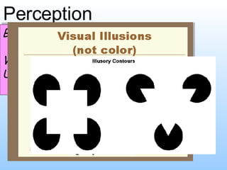 Perception Bell activity What is perception? Use the images to help you! 