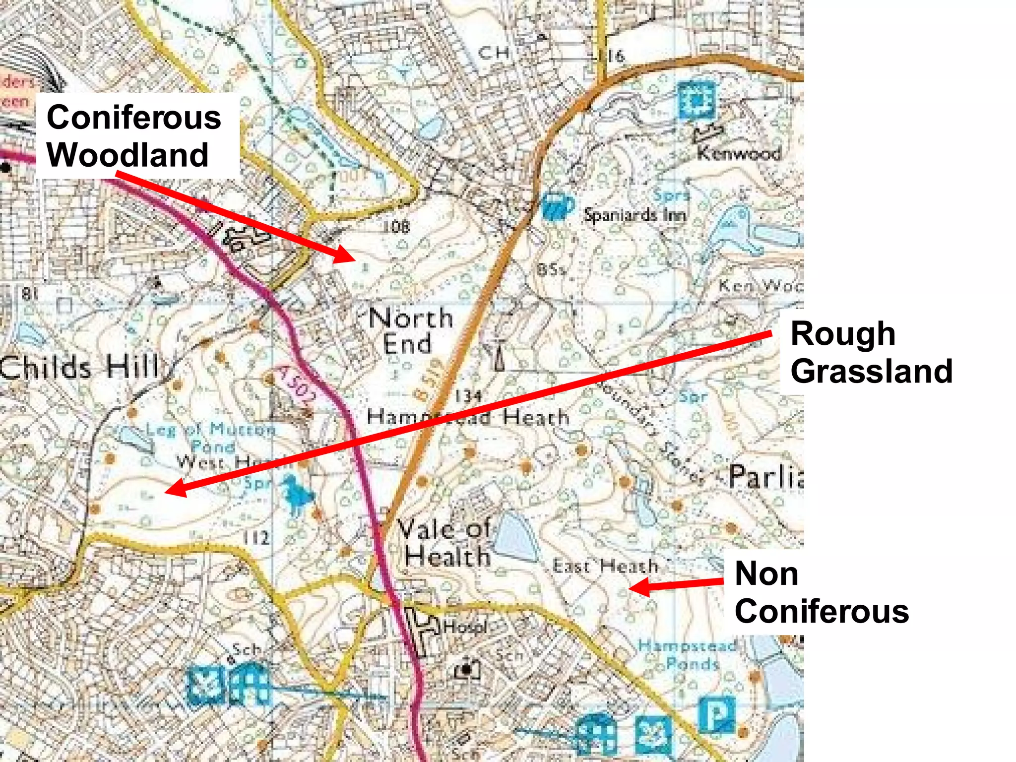 Rough Grassland Coniferous Woodland Non Coniferous 