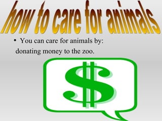 You can care for animals by: donating money to the zoo. how to care for animals 