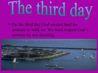On the third day God created land for animals to walk on. We must respect God’s animals by not shooting. The third day 