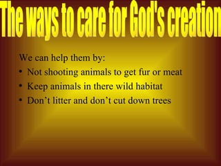 We can help them by:  Not shooting animals to get fur or meat Keep animals in there wild habitat Don’t litter and don’t cut down trees The ways to care for God's creation 