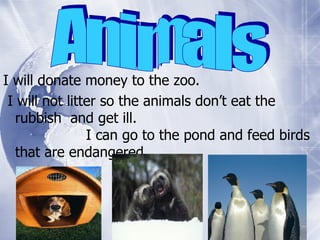 I will donate money to the zoo.  I will not litter so the animals don’t eat the rubbish  and get ill.  I can go to the pond and feed birds that are endangered.  Animals 