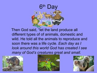 6 th  Day Then God said, “let the land produce all different types of of animals, domestic and wild. He told all the animals to reproduce and soon there was a life cycle.  Each day as I look around this world God has created I see many of God’s creatures great and small. 