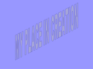 MY PLACE IN CREATION 