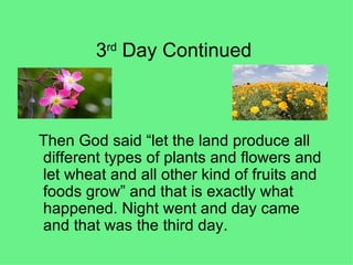 3 rd  Day Continued  Then God said “let the land produce all different types of plants and flowers and let wheat and all other kind of fruits and foods grow” and that is exactly what happened. Night went and day came and that was the third day.  