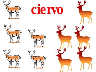 ciervo
 