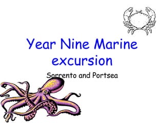 Year Nine Marine excursion Sorrento and Portsea 