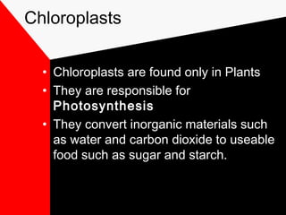 Chloroplasts
• Chloroplasts are found only in Plants
• They are responsible for
Photosynthesis
• They convert inorganic materials such
as water and carbon dioxide to useable
food such as sugar and starch.
 