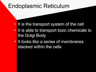 Endoplasmic Reticulum
• It is the transport system of the cell
• It is able to transport toxic chemicals to
the Golgi Body
• It looks like a series of membranes
stacked within the cells
 