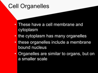 Cell Organelles
• These have a cell membrane and
cytoplasm
• the cytoplasm has many organelles
• these organelles include a membrane
bound nucleus
• Organelles are similar to organs, but on
a smaller scale
 