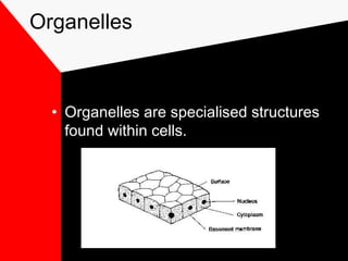 Organelles
• Organelles are specialised structures
found within cells.
 