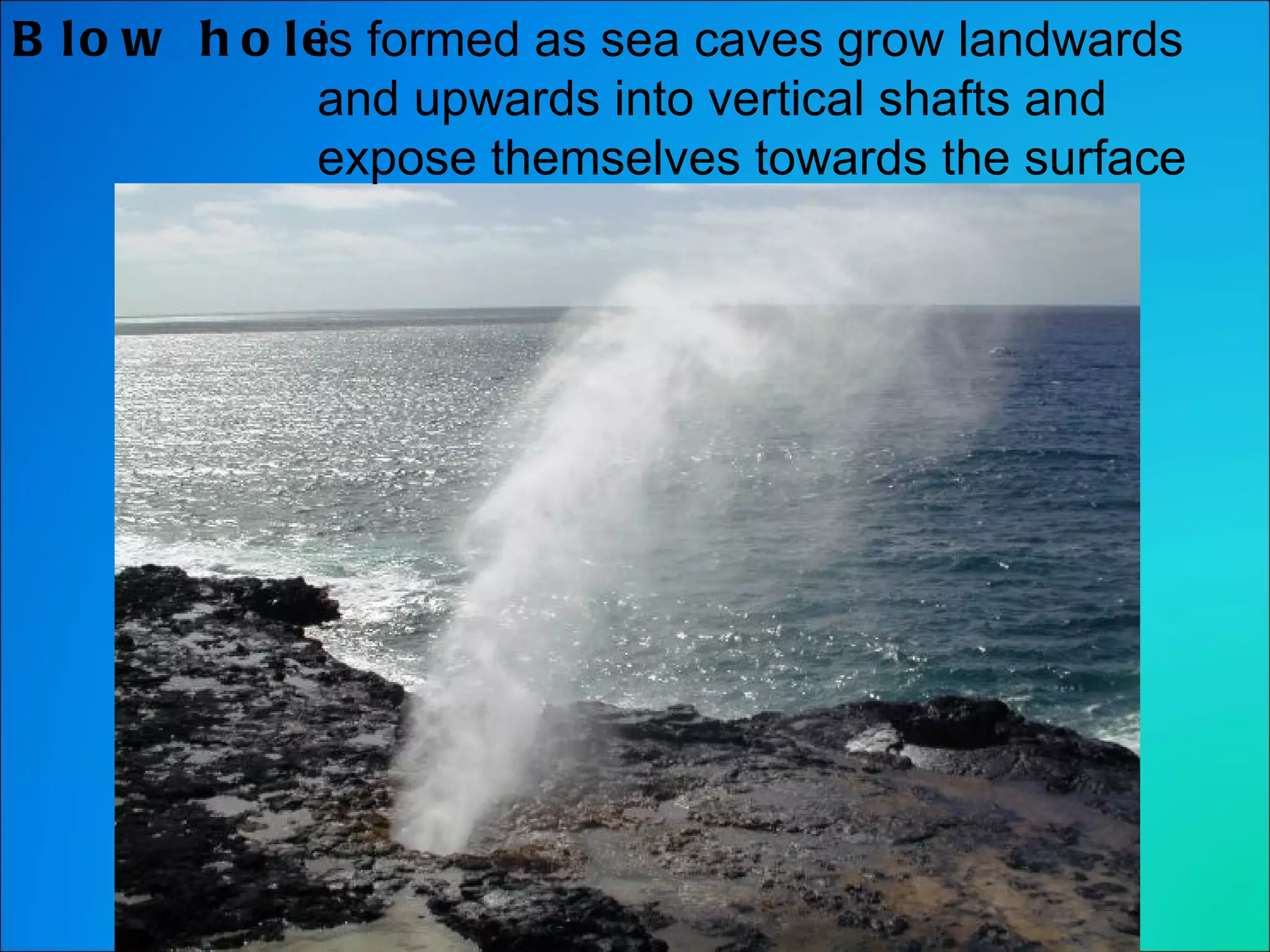 Blow hole is formed as sea caves grow landwards and upwards into vertical shafts and expose themselves towards the surface 