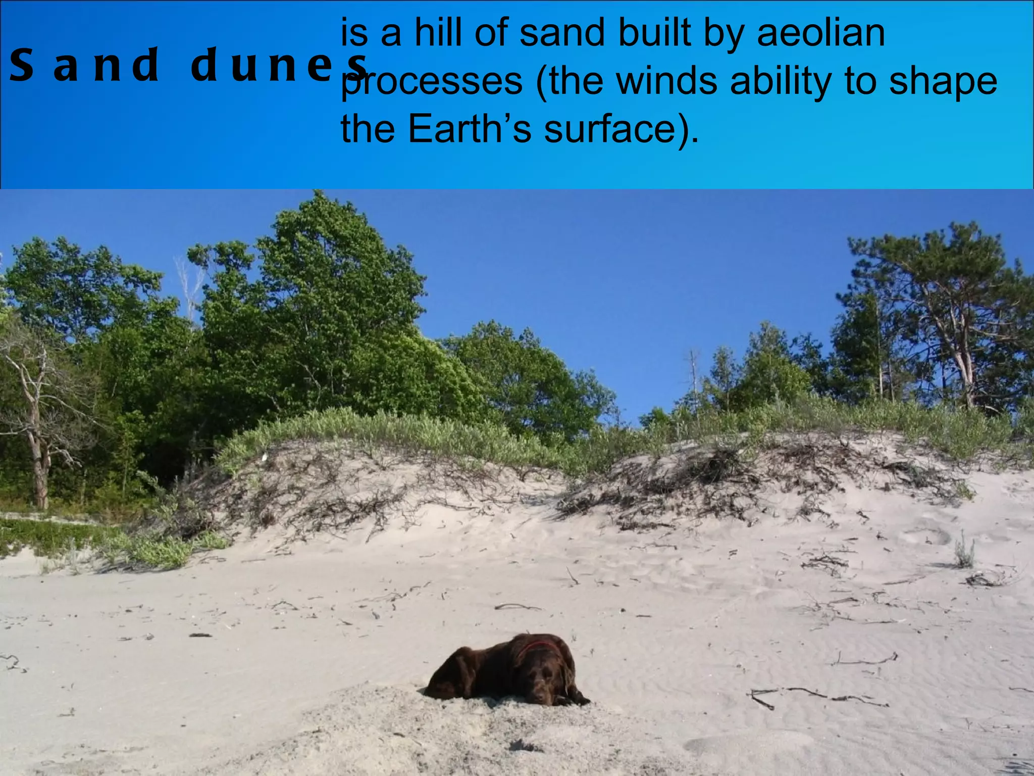 Sand dunes is a hill of sand built by aeolian processes (the winds ability to shape the Earth’s surface). 