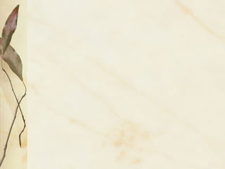 Year 10 introduction copy