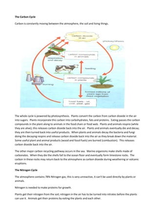 The Carbon Cycle
Carbon is constantly moving between the atmosphere, the soil and living things.
The whole cycle is powered by photosynthesis. Plants convert the carbon from carbon dioxide in the air
into sugars. Plants incorporate this carbon into carbohydrates, fats and proteins. Eating passes the carbon
compounds in the plant along to animals in the food chain or food web. Plants and animals respire (while
they are alive); this releases carbon dioxide back into the air. Plants and animals eventually die and decay;
they are then turned back into useful products. When plants and animals decay the bacteria and fungi
doing the decaying respire and release carbon dioxide back into the air as they break down the material.
Some useful plant and animal products (wood and fossil fuels) are burned (combustion). This releases
carbon dioxide back into the air.
The other major carbon recycling pathway occurs in the sea. Marine organisms make shells made of
carbonates. When they die the shells fall to the ocean floor and eventually form limestone rocks. The
carbon in these rocks may return back to the atmosphere as carbon dioxide during weathering or volcanic
eruptions.
The Nitrogen Cycle
The atmosphere contains 78% Nitrogen gas; this is very unreactive, it can’t be used directly by plants or
animals.
Nitrogen is needed to make proteins for growth.
Plants get their nitrogen from the soil; nitrogen in the air has to be turned into nitrates before the plants
can use it. Animals get their proteins by eating the plants and each other.
 