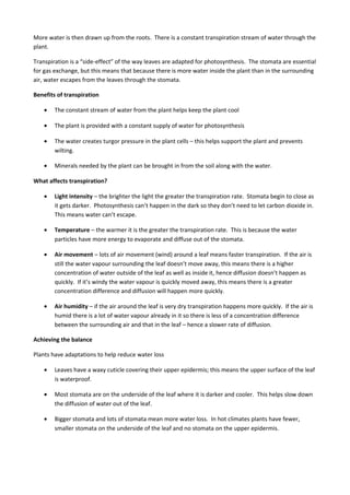 More water is then drawn up from the roots. There is a constant transpiration stream of water through the
plant.
Transpiration is a “side-effect” of the way leaves are adapted for photosynthesis. The stomata are essential
for gas exchange, but this means that because there is more water inside the plant than in the surrounding
air, water escapes from the leaves through the stomata.
Benefits of transpiration
• The constant stream of water from the plant helps keep the plant cool
• The plant is provided with a constant supply of water for photosynthesis
• The water creates turgor pressure in the plant cells – this helps support the plant and prevents
wilting.
• Minerals needed by the plant can be brought in from the soil along with the water.
What affects transpiration?
• Light intensity – the brighter the light the greater the transpiration rate. Stomata begin to close as
it gets darker. Photosynthesis can’t happen in the dark so they don’t need to let carbon dioxide in.
This means water can’t escape.
• Temperature – the warmer it is the greater the transpiration rate. This is because the water
particles have more energy to evaporate and diffuse out of the stomata.
• Air movement – lots of air movement (wind) around a leaf means faster transpiration. If the air is
still the water vapour surrounding the leaf doesn’t move away, this means there is a higher
concentration of water outside of the leaf as well as inside it, hence diffusion doesn’t happen as
quickly. If it’s windy the water vapour is quickly moved away, this means there is a greater
concentration difference and diffusion will happen more quickly.
• Air humidity – if the air around the leaf is very dry transpiration happens more quickly. If the air is
humid there is a lot of water vapour already in it so there is less of a concentration difference
between the surrounding air and that in the leaf – hence a slower rate of diffusion.
Achieving the balance
Plants have adaptations to help reduce water loss
• Leaves have a waxy cuticle covering their upper epidermis; this means the upper surface of the leaf
is waterproof.
• Most stomata are on the underside of the leaf where it is darker and cooler. This helps slow down
the diffusion of water out of the leaf.
• Bigger stomata and lots of stomata mean more water loss. In hot climates plants have fewer,
smaller stomata on the underside of the leaf and no stomata on the upper epidermis.
 