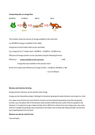 Interpreting data on energy flow
80 000 kJ 10 000 kJ 900 kJ 40 kJ
The numbers show the amount of energy available to the next level.
e.g. 80 000 kJ energy is available to the rabbit
Energy lost at each trophic level can be calculated.
E.g. energy lost at 1st
trophic level = 80 000 kJ – 10 000 kJ = 70 000 kJ lost
Efficiency of energy transfer can be calculated using the following formula:
Efficiency = energy available to the next level x 100
energy that was available to the previous level
At the first trophic level efficiency of energy transfer = 10 000 KJ / 80 000 kJ x 100
= 12.5 % efficient
Biomass and intensive farming
Energy stored in biomass can be used for other things
Energy can be released by eating it, feeding it to livestock, growing the seeds of plants and using it as a fuel.
For a given area of land a lot more food for humans can be produced by growing crops than by grazing
animals, e.g. only about 10% of the biomass eaten by beef cattle becomes useful meat for people to eat.
However, it is important to get a balanced diet, this is difficult to achieve from just eating crops, also some
land isn’t suitable for growing crops (moorland or fell-sides), here animals like sheep and deer are the best
way of getting food from the land.
Biomass can also be used for fuel.
Two examples:
 