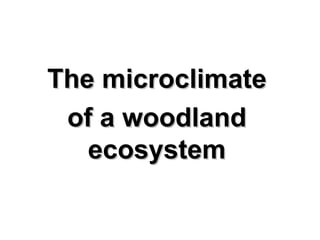 The microclimate of a woodland ecosystem 