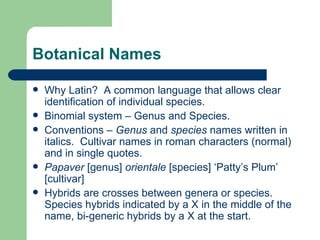 Botanical Names Why Latin?  A common language that allows clear identification of individual species. Binomial system – Genus and Species.  Conventions –  Genus  and  species  names written in italics.  Cultivar names in roman characters (normal) and in single quotes. Papaver  [genus]  orientale  [species] ‘Patty’s Plum’ [cultivar] Hybrids are crosses between genera or species.  Species hybrids indicated by a X in the middle of the name, bi-generic hybrids by a X at the start. 