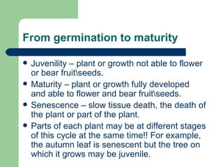 From germination to maturity Juvenility – plant or growth not able to flower or bear fruit\seeds.  Maturity – plant or growth fully developed and able to flower and bear fruit\seeds. Senescence – slow tissue death, the death of the plant or part of the plant. Parts of each plant may be at different stages of this cycle at the same time!! For example, the autumn leaf is senescent but the tree on which it grows may be juvenile. 