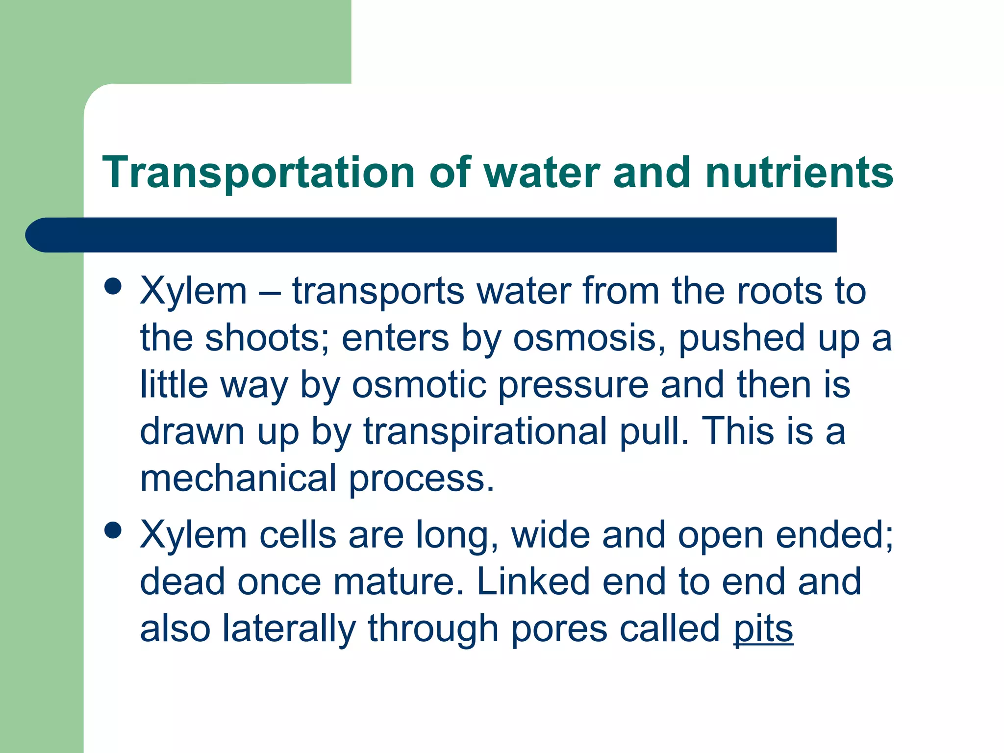 Transportation of water and nutrients
 Xylem

– transports water from the roots to
the shoots; enters by osmosis, pushed up a
little way by osmotic pressure and then is
drawn up by transpirational pull. This is a
mechanical process.
 Xylem cells are long, wide and open ended;
dead once mature. Linked end to end and
also laterally through pores called pits

 