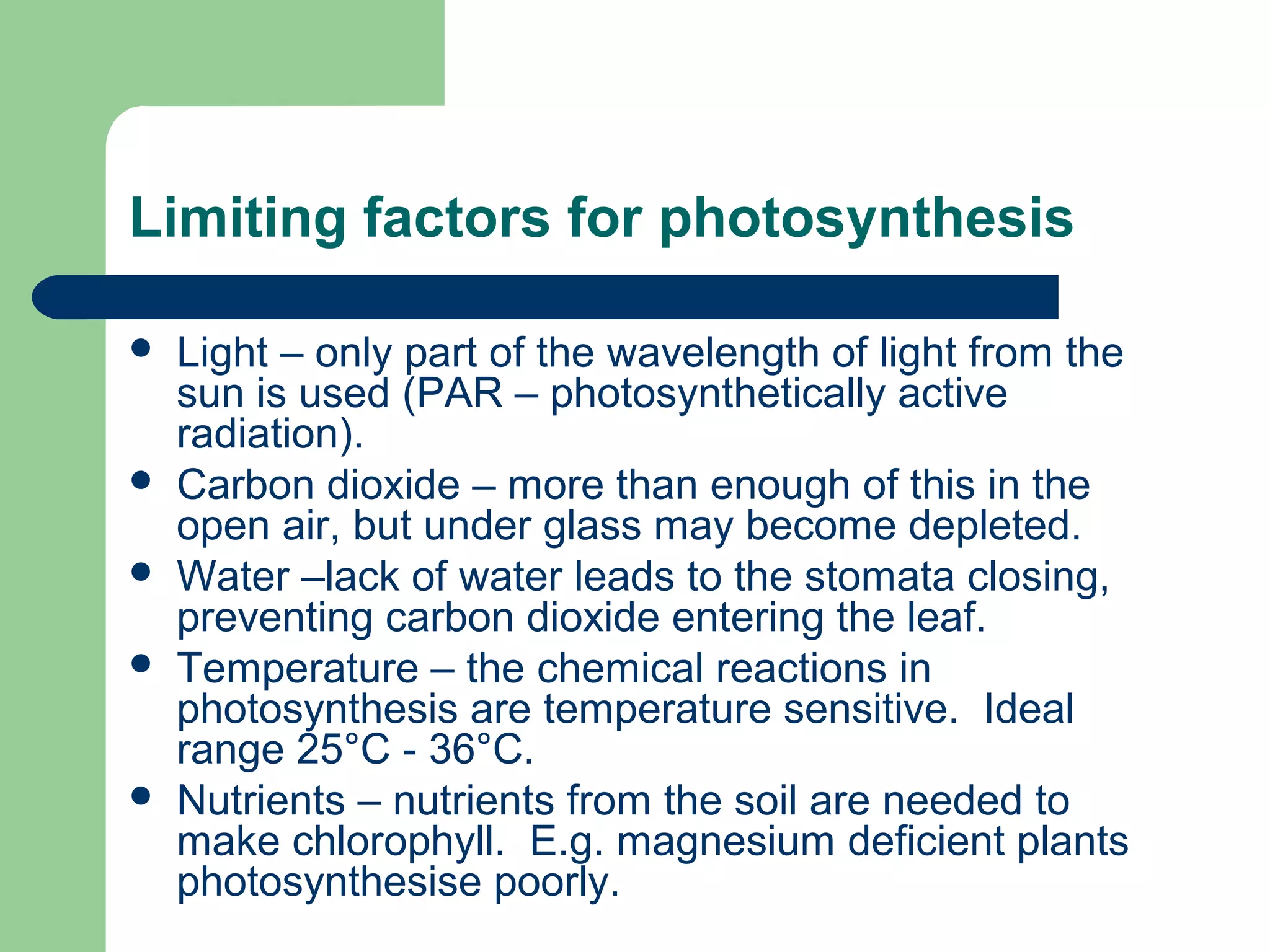 Limiting factors for photosynthesis








Light – only part of the wavelength of light from the
sun is used (PAR – photosynthetically active
radiation).
Carbon dioxide – more than enough of this in the
open air, but under glass may become depleted.
Water –lack of water leads to the stomata closing,
preventing carbon dioxide entering the leaf.
Temperature – the chemical reactions in
photosynthesis are temperature sensitive. Ideal
range 25°C - 36°C.
Nutrients – nutrients from the soil are needed to
make chlorophyll. E.g. magnesium deficient plants
photosynthesise poorly.

 