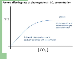 plateau
CO2 is a substrate in an
enyme-catalysed lightdependent reaction.

At low CO2 concentration, rate is
positively correlated with concentration

 