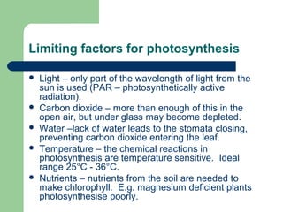 Limiting factors for photosynthesis








Light – only part of the wavelength of light from the
sun is used (PAR – photosynthetically active
radiation).
Carbon dioxide – more than enough of this in the
open air, but under glass may become depleted.
Water –lack of water leads to the stomata closing,
preventing carbon dioxide entering the leaf.
Temperature – the chemical reactions in
photosynthesis are temperature sensitive. Ideal
range 25°C - 36°C.
Nutrients – nutrients from the soil are needed to
make chlorophyll. E.g. magnesium deficient plants
photosynthesise poorly.

 