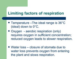 Limiting factors of respiration Temperature –The ideal range is 36 °C (ideal) down to 0°C. Oxygen  - aerobic respiration (only) requires oxygen in sufficient concentration; reduced oxygen leads to slower respiration.  Water loss – closure of stomata due to water loss prevents oxygen from entering the plant and slows respiration. 